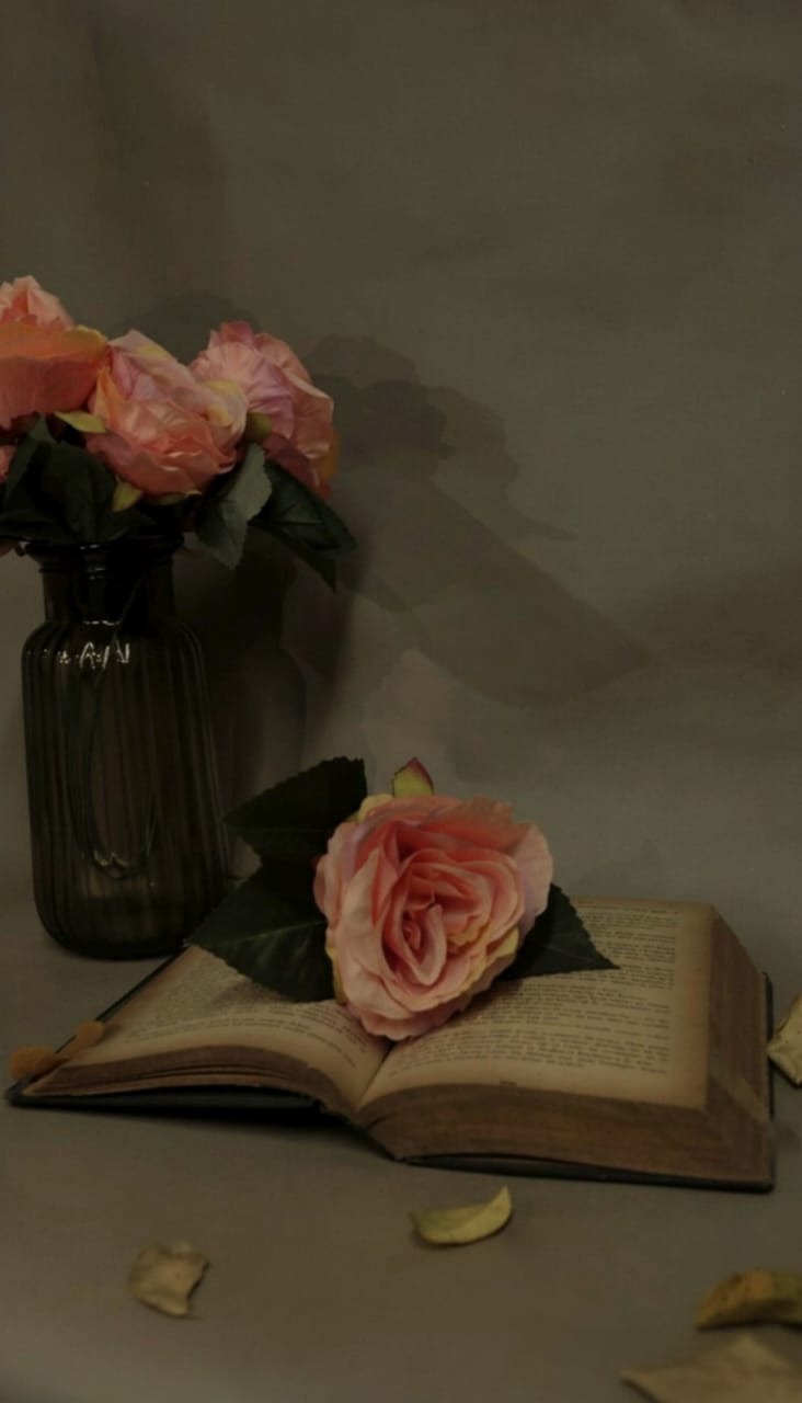 Bodegón Ilustración